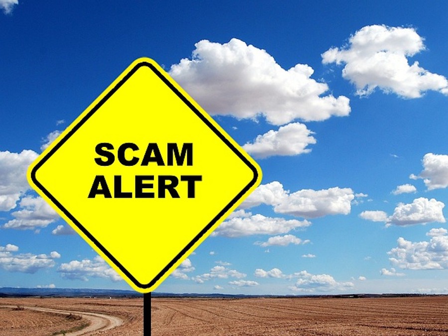 pest control scams